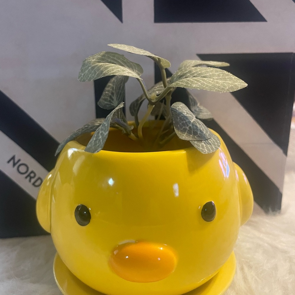 Daiso Yellow Duck Planter/ faux plant not included